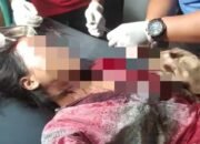 Kasun Desa Pondok Dalem Jember Diduga Bacok Tatangganya Hingga Luka Parah